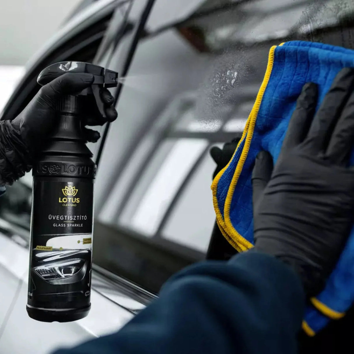 Glass & Windshield Cleaner 600ml