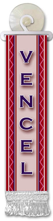 Mini steag personalizat cu nume M-Z, cu ventuză pentru geam