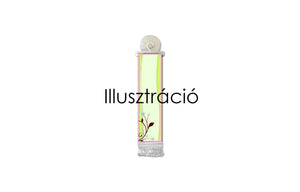 Mini Flag with Name F-L