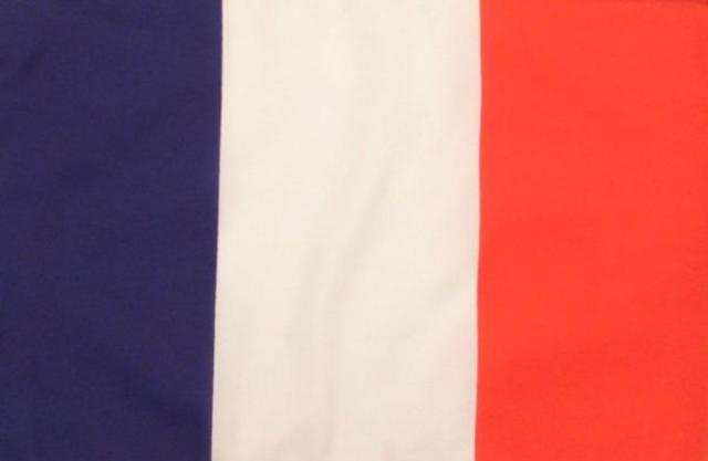 Large Flag France (90x150cm)